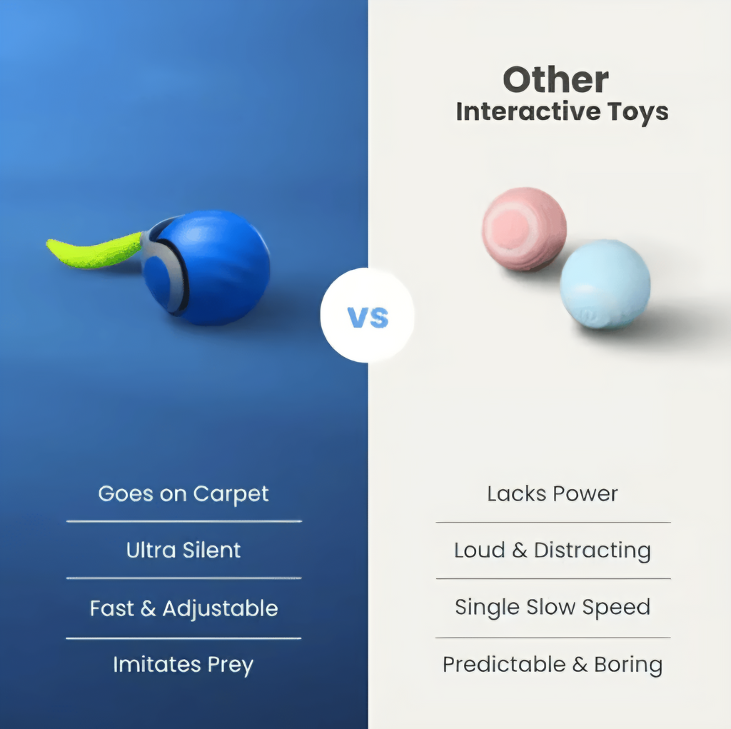 SPEED TAIL CAT TOY 2.0