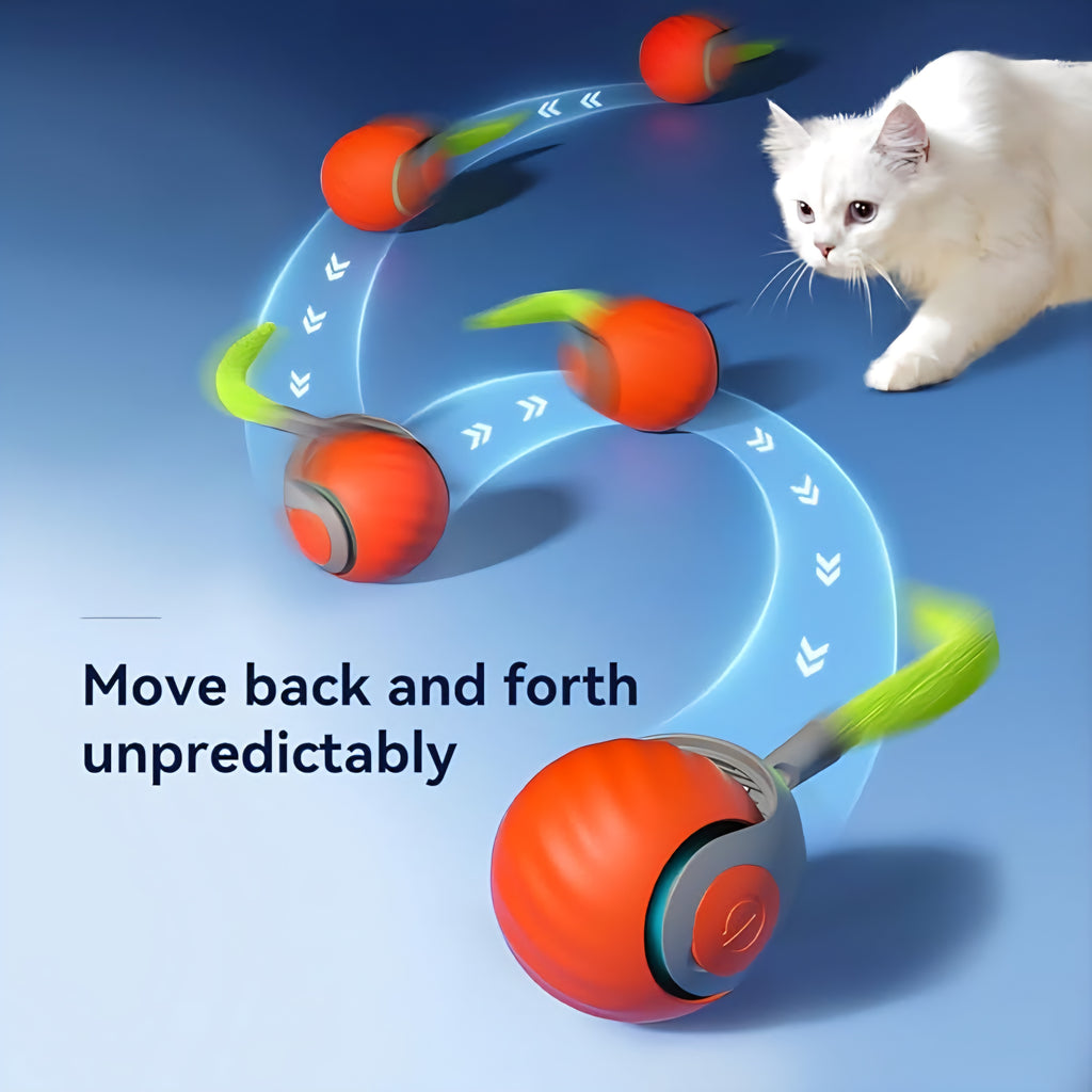 SPEED TAIL CAT TOY 2.0
